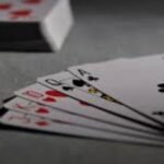 Exploring Profile Navigation