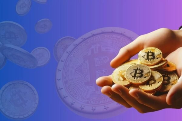 Wolf Winner Casino Winning Payout Review